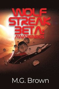 bokomslag Wolf Streak Beta: Awareness