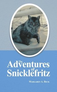 bokomslag The Adventures of Snicklefritz