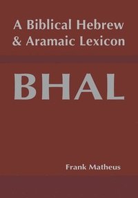 bokomslag A Biblical Hebrew and Aramaic Lexicon