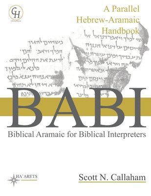 bokomslag Biblical Aramaic for Biblical Interpreters