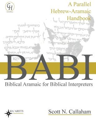 bokomslag Biblical Aramaic for Biblical Interpreters