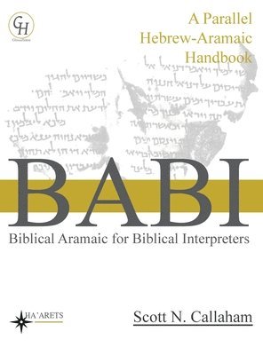 bokomslag Biblical Aramaic for Biblical Interpreters