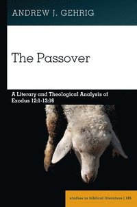 bokomslag The Passover