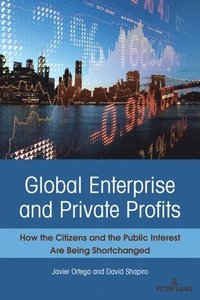 bokomslag Global Enterprise and Private Profits
