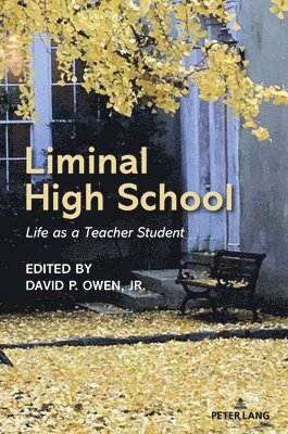 bokomslag Liminal High School