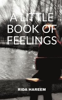 bokomslag Little Book of Feelings