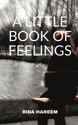 bokomslag A Little Book of Feelings