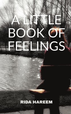 Little Book of Feelings 1