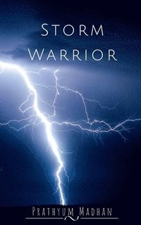 bokomslag Storm Warrior