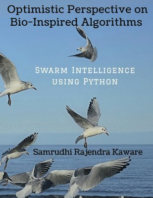 bokomslag Optimistic Perspective on Bio-Inspired Algorithms