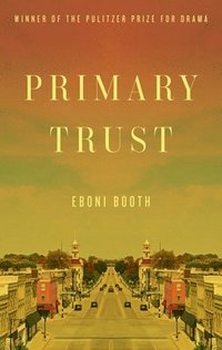bokomslag Primary Trust