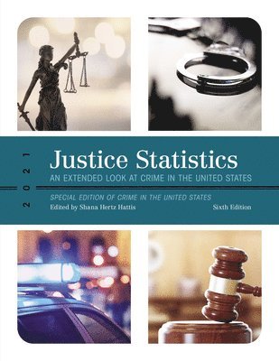 bokomslag Justice Statistics