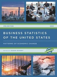 bokomslag Business Statistics of the United States 2022