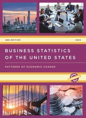 bokomslag Business Statistics of the United States 2023