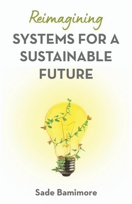 bokomslag Reimagining Systems for a Sustainable Future