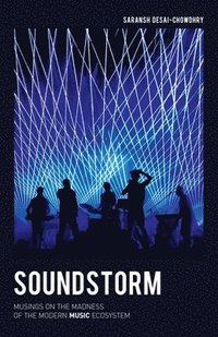 bokomslag Soundstorm