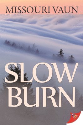 bokomslag Slow Burn