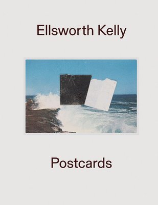 Ian Berry, Jessica Eisenthal - Ellsworth Kelly: Postcards, Inbunden