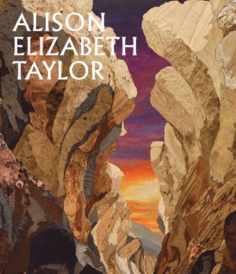 bokomslag Alison Elizabeth Taylor: The Sum of It