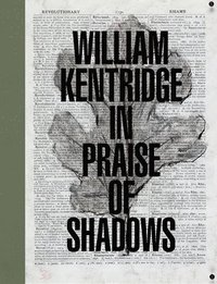 bokomslag William Kentridge: In Praise of Shadows