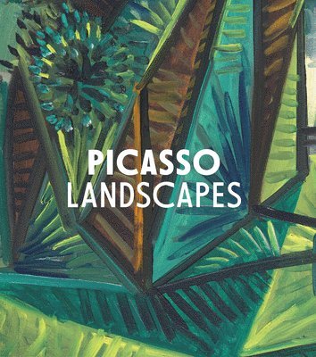 bokomslag Picasso Landscapes: Out of Bounds