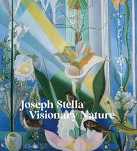bokomslag Joseph Stella: Visionary Nature
