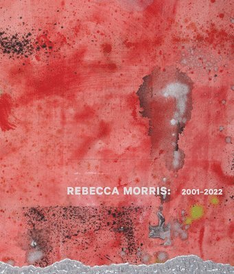 bokomslag Rebecca Morris: 20012022