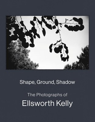 Shape, Ground, Shadow: The Photographs of Ellsworth Kelly 1