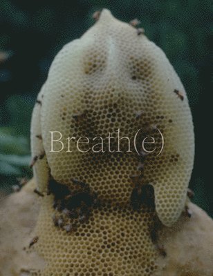 Glenn Kaino, Mika Yoshitake - Breath(e): Toward Climate and Social Justice, Inbunden