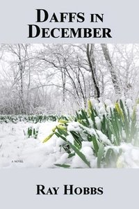 bokomslag Daffs in December