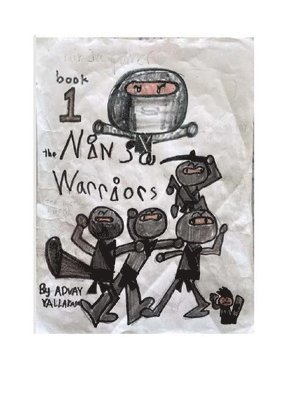 bokomslag Ninja Warriors