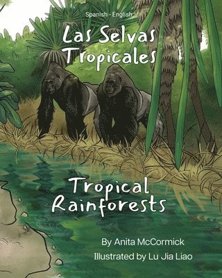 Anita McCormick - Tropical Rainforests (Spanish-English), Häftad