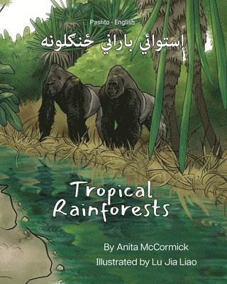 bokomslag Tropical Rainforests (Pashto-English)