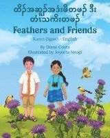 bokomslag Feathers and Friends (Karen (Sgaw)-English)