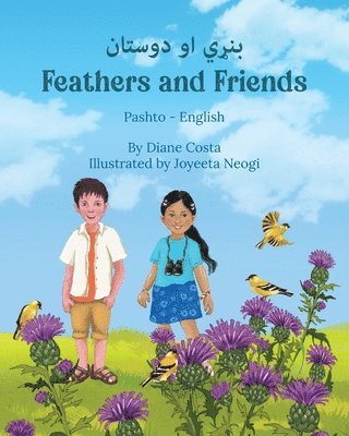 bokomslag Feathers and Friends (Pashto-English)