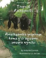 bokomslag Tropical Rainforests (Kinyarwanda-English)