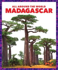 bokomslag Madagascar