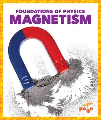 Anita Nahta Amin - Magnetism, Inbunden