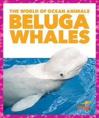 bokomslag Beluga Whales