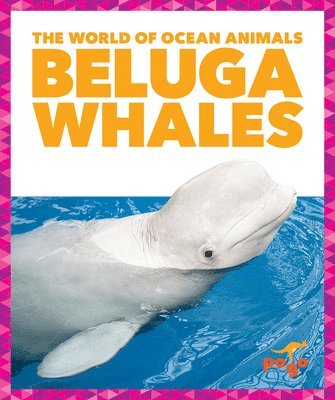 bokomslag Beluga Whales