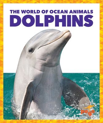 bokomslag Dolphins