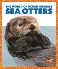 bokomslag Sea Otters