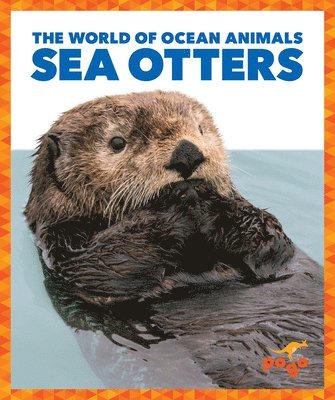 Sea Otters 1