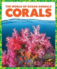 bokomslag Corals