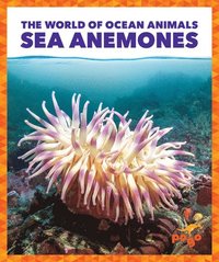 bokomslag Sea Anemones