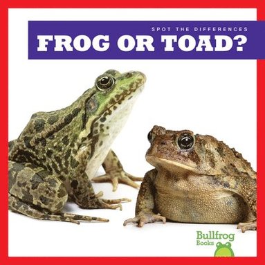 bokomslag Frog or Toad?