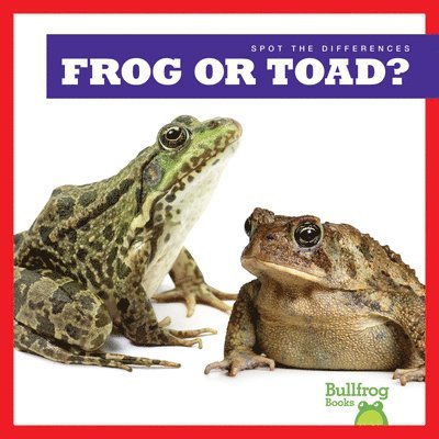 Frog or Toad? 1