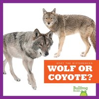 bokomslag Wolf or Coyote?