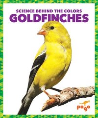 bokomslag Goldfinches
