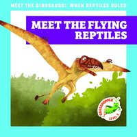 bokomslag Meet the Flying Reptiles